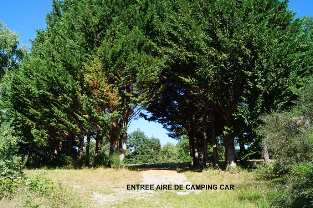 Aire camping-car  Tulle (19000) - Photo 4